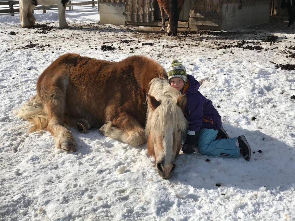 Pony-Ziegen-Hasen-Ranch Bichlbachアパートメント エクステリア 写真