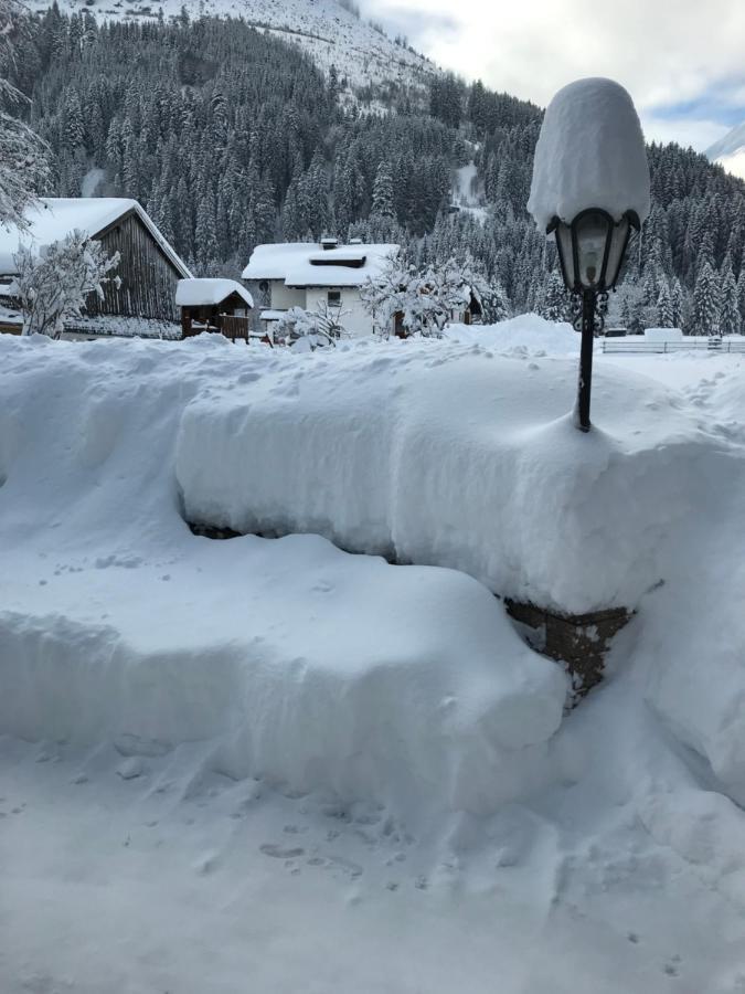 Pony-Ziegen-Hasen-Ranch Bichlbachアパートメント エクステリア 写真