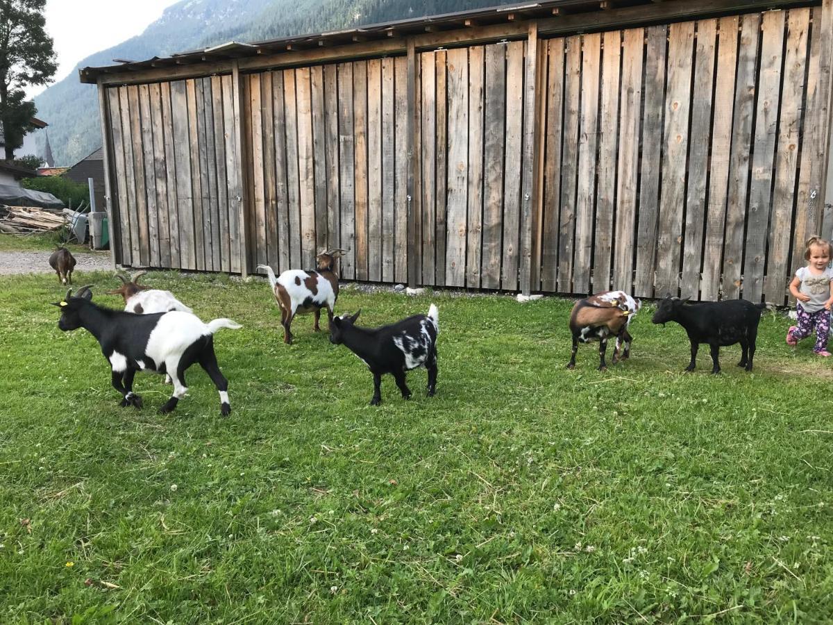 Pony-Ziegen-Hasen-Ranch Bichlbachアパートメント エクステリア 写真